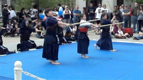 korean vs japanese fight stick